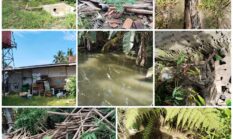 Borok IPAL Dapur Gizi Sruweng: Limbah Meluber, Drainase Tersumbat Puing dan Sampah