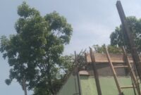 oppo_0