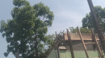 oppo_0